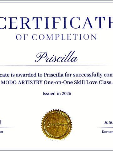 MODO ARTISTRY certificate